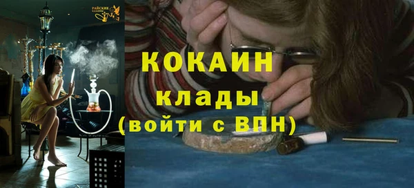 прущая мука Ельня