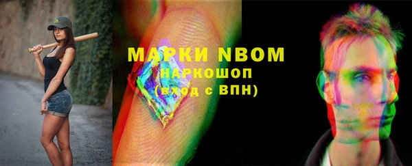 мдпв Елизово