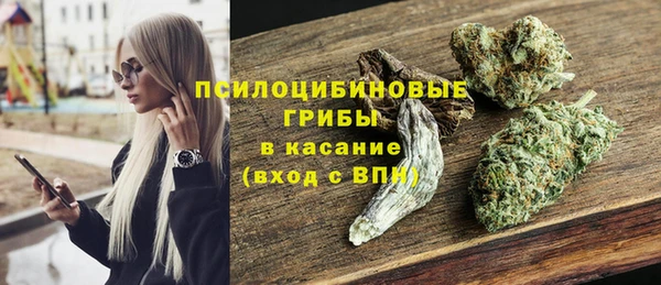 мдпв Елизово