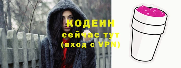 мдпв Елизово