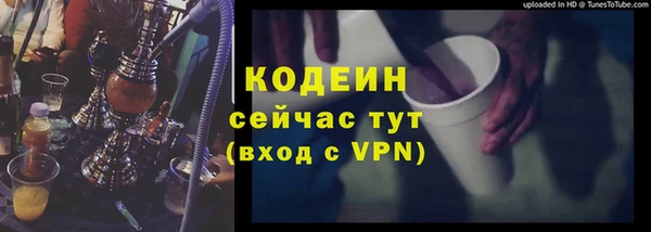 мдпв Елизово