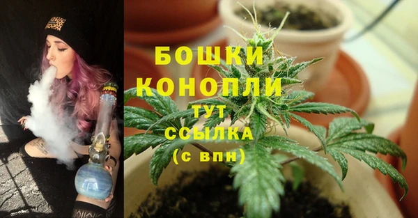 мдпв Елизово