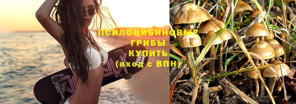 мдпв Елизово
