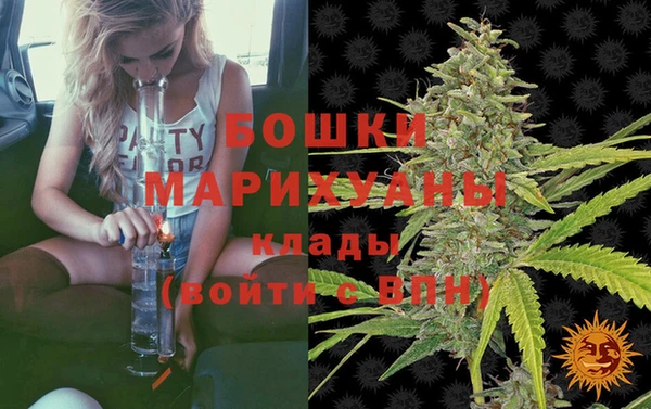 мдпв Елизово