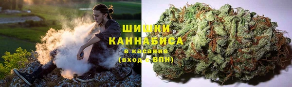 мдпв Елизово