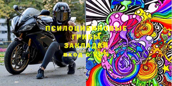мдпв Елизово