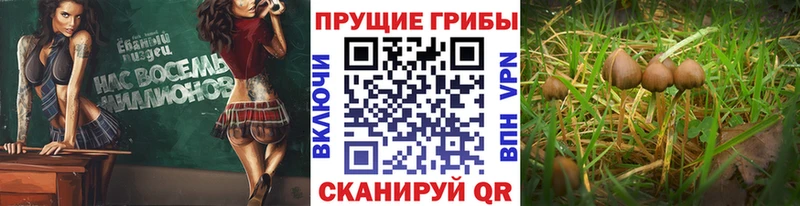 Галлюциногенные грибы мухоморы  Купить где  Кандалакша 